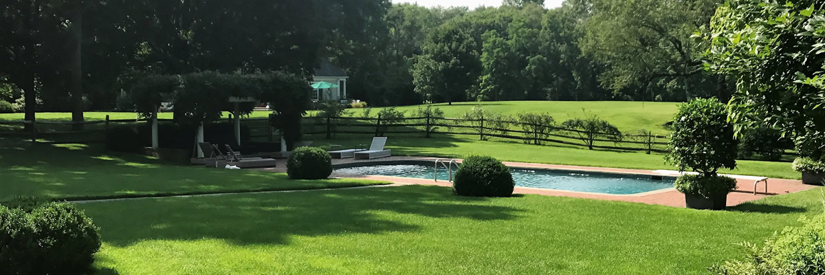 pool grass